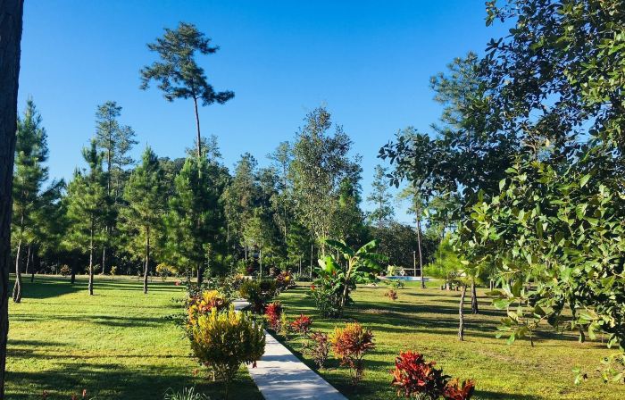 Kane Villas - Mountain Pine Ridge