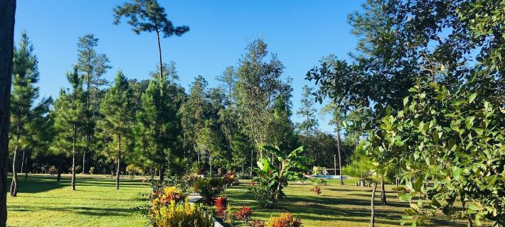 Kane Villas - Mountain Pine Ridge Hotele w: San Ignacio