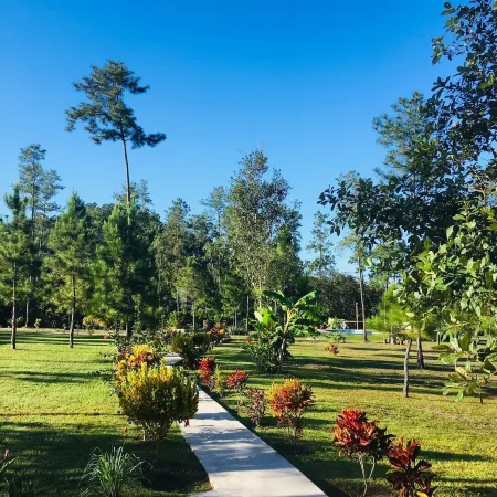 Kane Villas - Mountain Pine Ridge