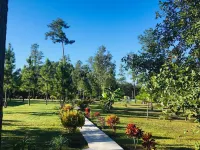 Kane Villas - Mountain Pine Ridge - Mountain view