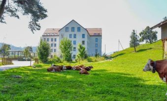 Aparthotel Luzern West