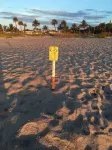 Surf Studio Beach Resort - Ocean View