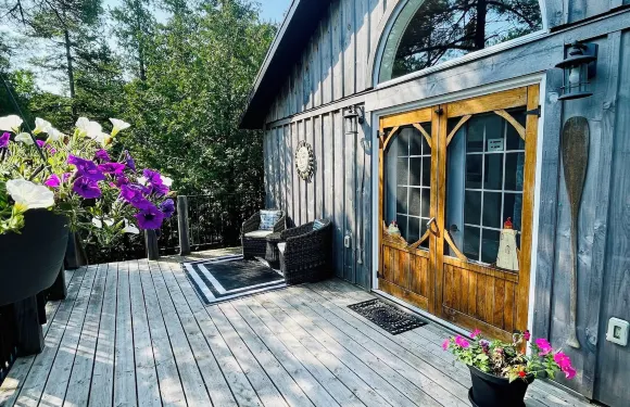 羅賓巢託伯莫里