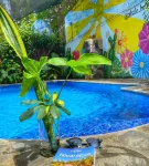 Hotel Al Sole - Pools