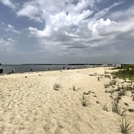 Steps to Eats and Craigville Beach! Cape Cod Cottage