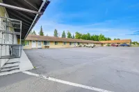 Walk to Parks: Snug Soldotna Sanctuary! - Homestays
