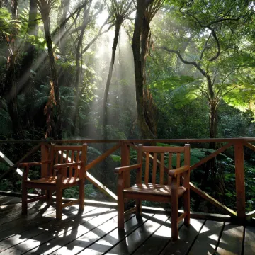 The Atta Terrace Club Towers