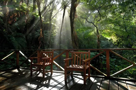 The Atta Terrace Club Towers