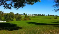 Lyndon House Bed & Breakfast Hotels in Lexington