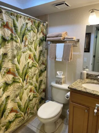 Beautiful 1 BR 1 Bath condo on intercoastal in Treasure Island