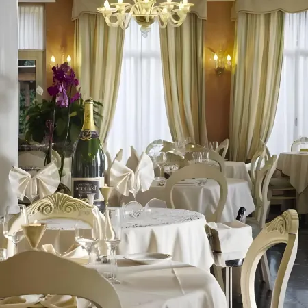 Viktoria Palace Hotel