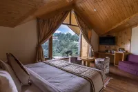 Kufri Pacific Resort