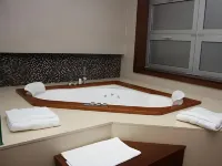 特米內斯飯店