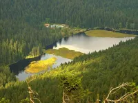 Cozy Apartment in Ruhmannsfelden with Swimming Pool Hotels in Achslach