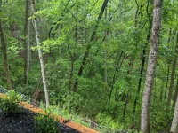 Honey Bear Hideaway spacious private intown pets