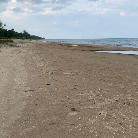 Lake Huron access wooded 2-bedroom cottage with WiFi in charming Oscoda