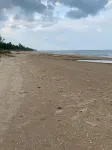 Lake Huron access wooded 2-bedroom cottage with WiFi in charming Oscoda