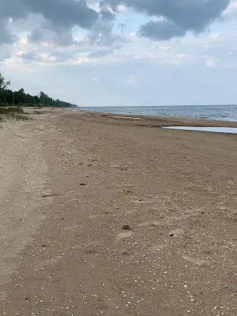 Lake Huron access wooded 2-bedroom cottage with WiFi in charming Oscoda