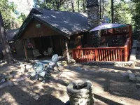 Mountain Cabin - Old Idyllwild Charm! Dog friendly. Minutes from the village. Hotels in Idyllwild