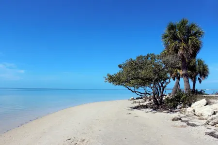 Charming, Cozy, Family Friendly - Close to Downtown/Sponge Docks/Beaches/Trails