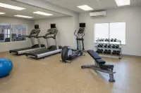 Fairfield Inn & Suites Lake Charles Sulphur - Gym