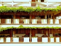 Hotel Lestari Hotel di Desa Kaliwates