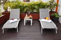 Le Palmier Royal, villa with swimming pool