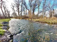 Beautiful Home Creekside