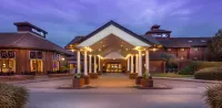 Hilton East Midlands Airport - Kolam Renang
