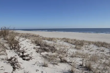 Modern Ship Bottom Oceanfront House with Amazing Ocean Views Отели рядом с достопримечательностью «Остров Лонг Бич»