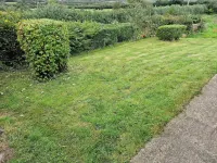 Welsh Coastal Cottage nr Llangrannog & New Quay with Donkeys & woodburner