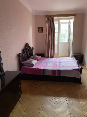 Cozy apartment for rent Hoteller i Gldani-Nadzaladevi