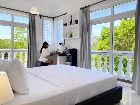 Deluxe 1BR Apartment with Breakfast Отели в г. Мсамбуэни