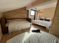 Luxurious 4-room chalet-style apartment. Cœur station d'Auron, 10 pers. Hotels in Auron