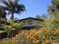 Andelomi Forest Lodge Hotels near Tsitsikamma National Park