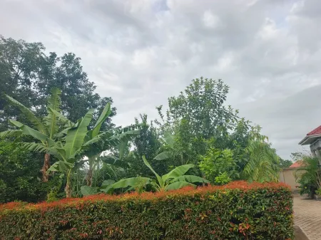 2-bedroom, 2 units corporate Nsubbe apartment in charming Mukono with WiFi Отели в г. Муконо