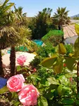 Tropical oasis, rural Andalucía—tropical garden, huge pool, perfect for couples