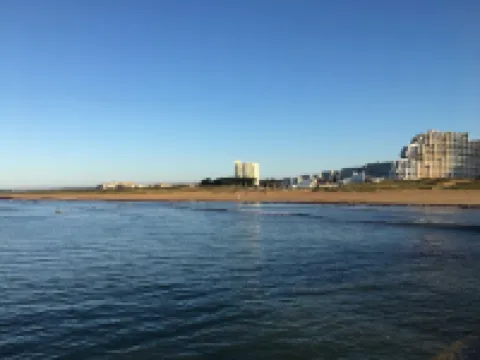 L'Entre Vagues (100m from the beach)