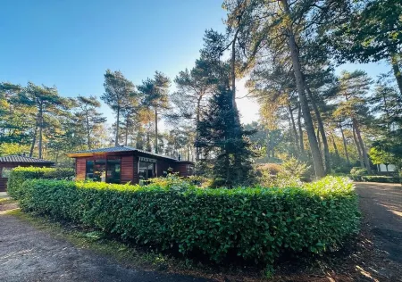 StayatSas Tiny House on the Veluwe Pippa, kids and dogs welcome, large terrace