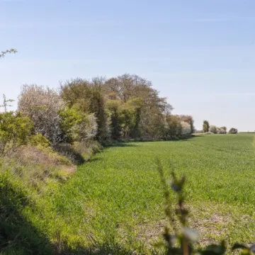 "Evamaria" - 350m from the Sea