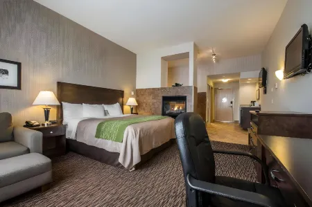 Comfort Inn & Suites Отели рядом с достопримечательностью «Тайнхед Хатчери»