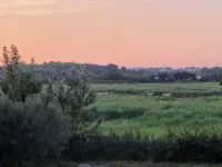 Studio Dans un Écrin de Nature Hotel a Villeneuve les Maguelonne