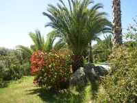 Spacious Villa with Pool - Villas