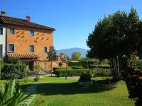 Villa in Cortona with Pool & Garden -  case vacanza in affitto