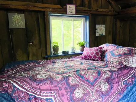 Cozy Cabin: Peaceful Haven in the Heart of Nature