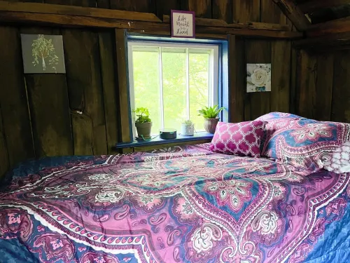 Cozy Cabin: Peaceful Haven in the Heart of Nature