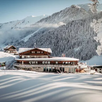 Hotel Birkenhöhe Отели в г. Брегенц