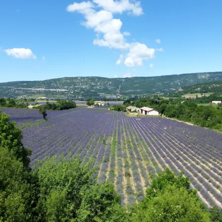 Cottage in Luberon near Apt Market