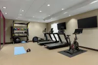 Home2 Suites by Hilton Dublin - Gym