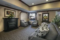 Comfort Inn & Suites Conway Hotels in Conway